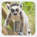 Recherche de rampante autocollants Animal
