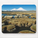 Recherche de grand format tapis souris Adnt