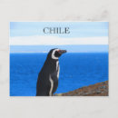 Zoek naar patagonia briefkaarten Torres del paine