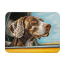 Recherche de voiture de chien magnets Animal