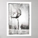 Zoek naar carnaval masker posters Zwart wit