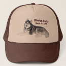 Recherche de sibérien casquettes Chiot