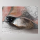 Zoek naar dekbed posters Dieren