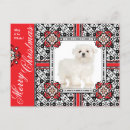 Recherche de bichon frise christmas vœux cartes Animal