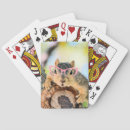 Recherche de écureuil jeux de cartes Photographie