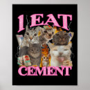 Zoek naar kat meme posters Citaat