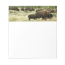 Recherche de bison blocsnotes Wyoming