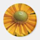 Zoek naar gerbera magneten Botanisch