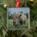 Recherche de rhinocéros ornements Faune