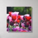 Zoek naar tulpen kunst Paars