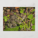 Zoek naar nadruk briefkaarten Close up