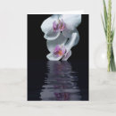 Recherche de pureté Violet