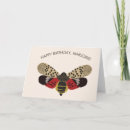 Zoek naar gevlekt kaarten Insecten