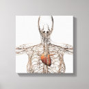 Recherche de système lymphatique posters Axillaire