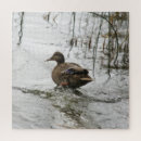 Recherche de canard puzzles Lac