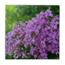 Recherche de romantique carreaux Vintage floral