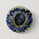 Zoek naar anemoon buttons Bloem