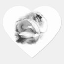 Zoek naar witte zwanen stickers Zwart