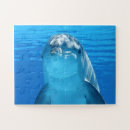 Recherche de dolphin puzzles Dauphin