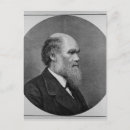 Recherche de darwin postcards cartes postales Charles