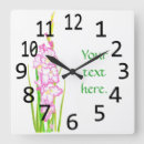 Recherche de gladiola Rose