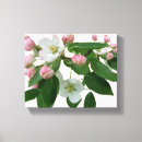 Recherche de beaux toiles Pour elle