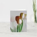 Zoek naar meervoud kaarten Bloemen