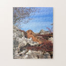 Recherche de lièvres puzzles Animaux