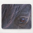 Recherche de mustang électronique Animaux