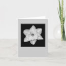 Recherche de planner vœux cartes Noir et blanc