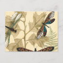 Recherche de megan cartes postales Nature