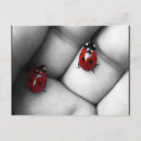 Recherche de contraste cartes postales Pour tous