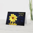 Zoek naar thinking of you kaarten Bloem