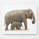 Recherche de éléphant bébé tapis souris Animaux