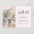 Recherche de arbre de floraison invitations Fleur
