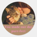 Zoek naar katten verjaardag stickers Kattemoeder