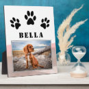 Recherche de animaux plaques Pour animaux