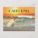 Recherche de california beach cartes postales Surfer