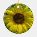 Recherche de de tournesol ornements En céramique