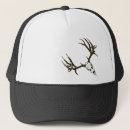 Recherche de mâle de cerfs communs Whitetail