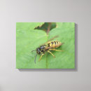 Recherche de mouche impressions sur toile Faune