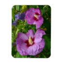 Recherche de pourpre de fleur magnets Fleurs
