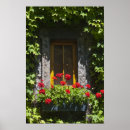 Zoek naar klimop posters Bloemen