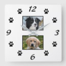 Recherche de péter horloges Chat