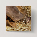 Recherche de agriculture badges Fermes