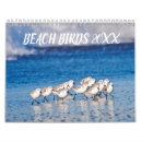 Recherche de oiseau calendriers Photographie de la faune