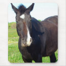 Recherche de peinture cheval tapis souris Noir