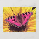 Recherche de mouche à beurre cartes postales Mouches