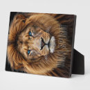 Recherche de jungle plaques Lion
