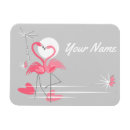 Recherche de flamand magnets Floride